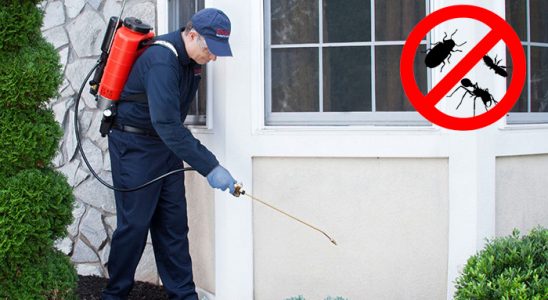 Koçarlı Tahtakurusu İlaçlama böcek ilaçlama ve haşere kontrolü — ilaclama-tr.com